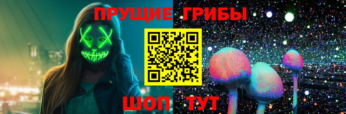 Псилоцибиновые грибы прущие грибы Зима